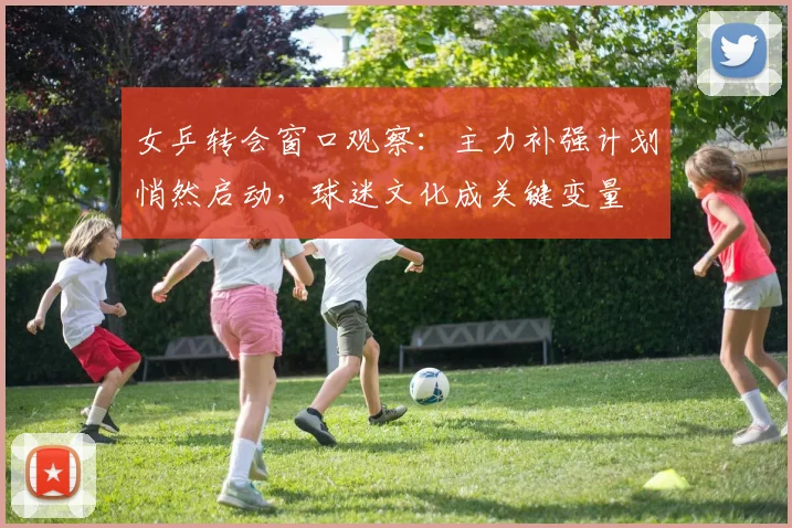 女乒转会窗口观察：主力补强计划悄然启动，球迷文化成关键变量