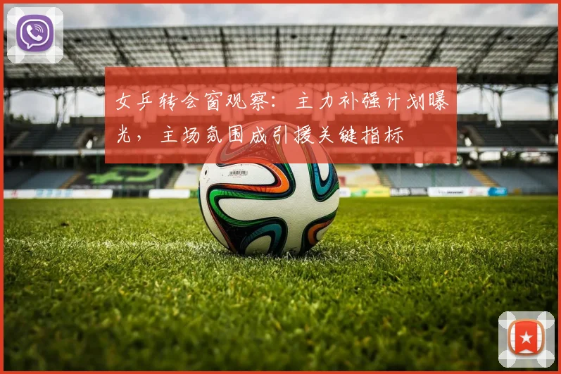 女乒转会窗观察：主力补强计划曝光，主场氛围成引援关键指标