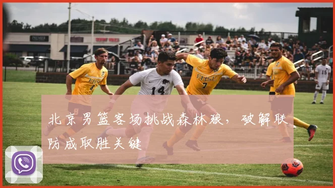 北京男篮客场挑战森林狼，破解联防成取胜关键