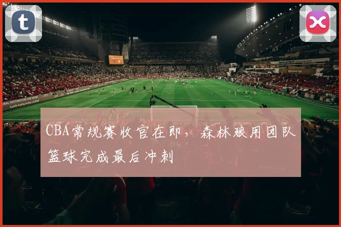 CBA常规赛收官在即，森林狼用团队篮球完成最后冲刺