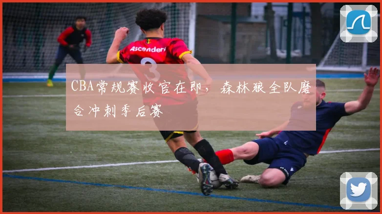 CBA常规赛收官在即，森林狼全队磨合冲刺季后赛