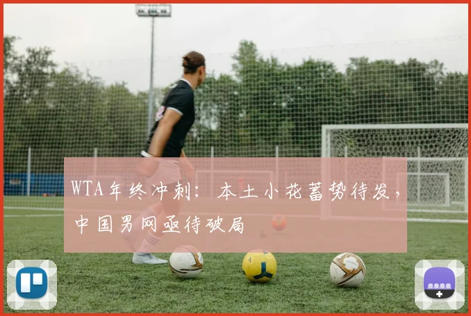 WTA年终冲刺：本土小花蓄势待发，中国男网亟待破局