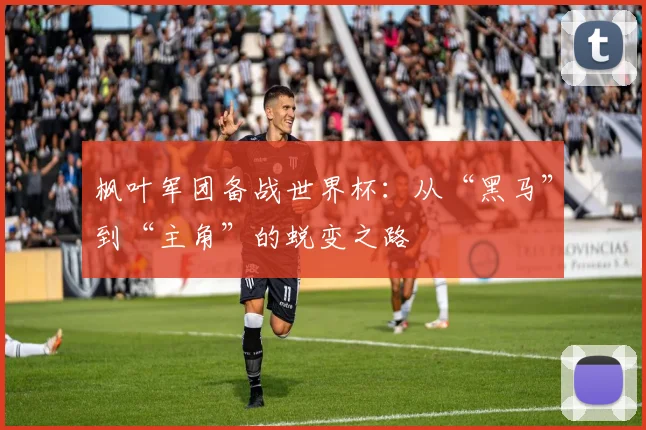 枫叶军团备战世界杯：从“黑马”到“主角”的蜕变之路